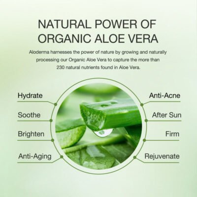 5_4010969f-997d-453e-93b3-2d4ab81dc4fa_800x800.jpg Aloderma Fresh Aloe Vera Gel